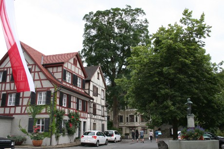 Bregenz, Mainau, Konstanz 309