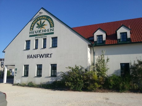 Hanfthal 2