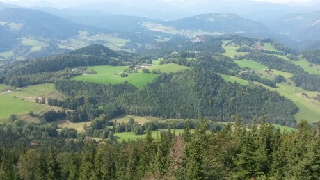 Hohe Wand 19