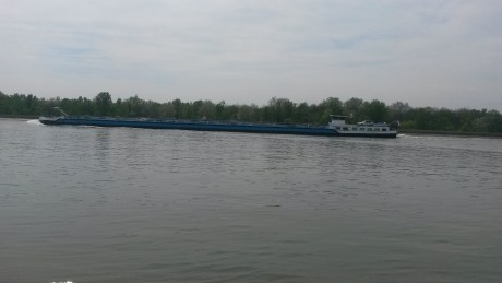Řeka Rýn 2