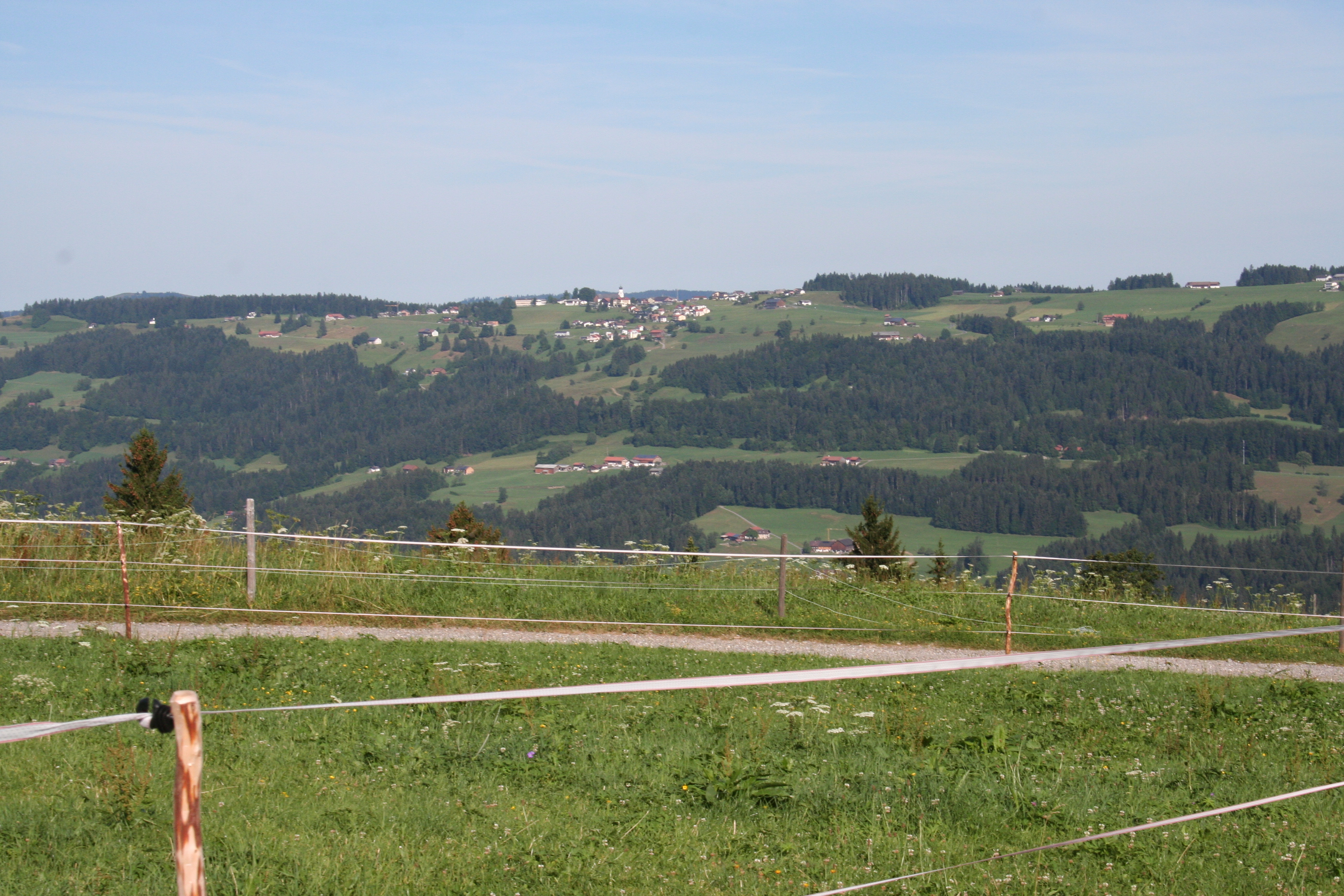 Bregenz, Mainau, Konstanz 390