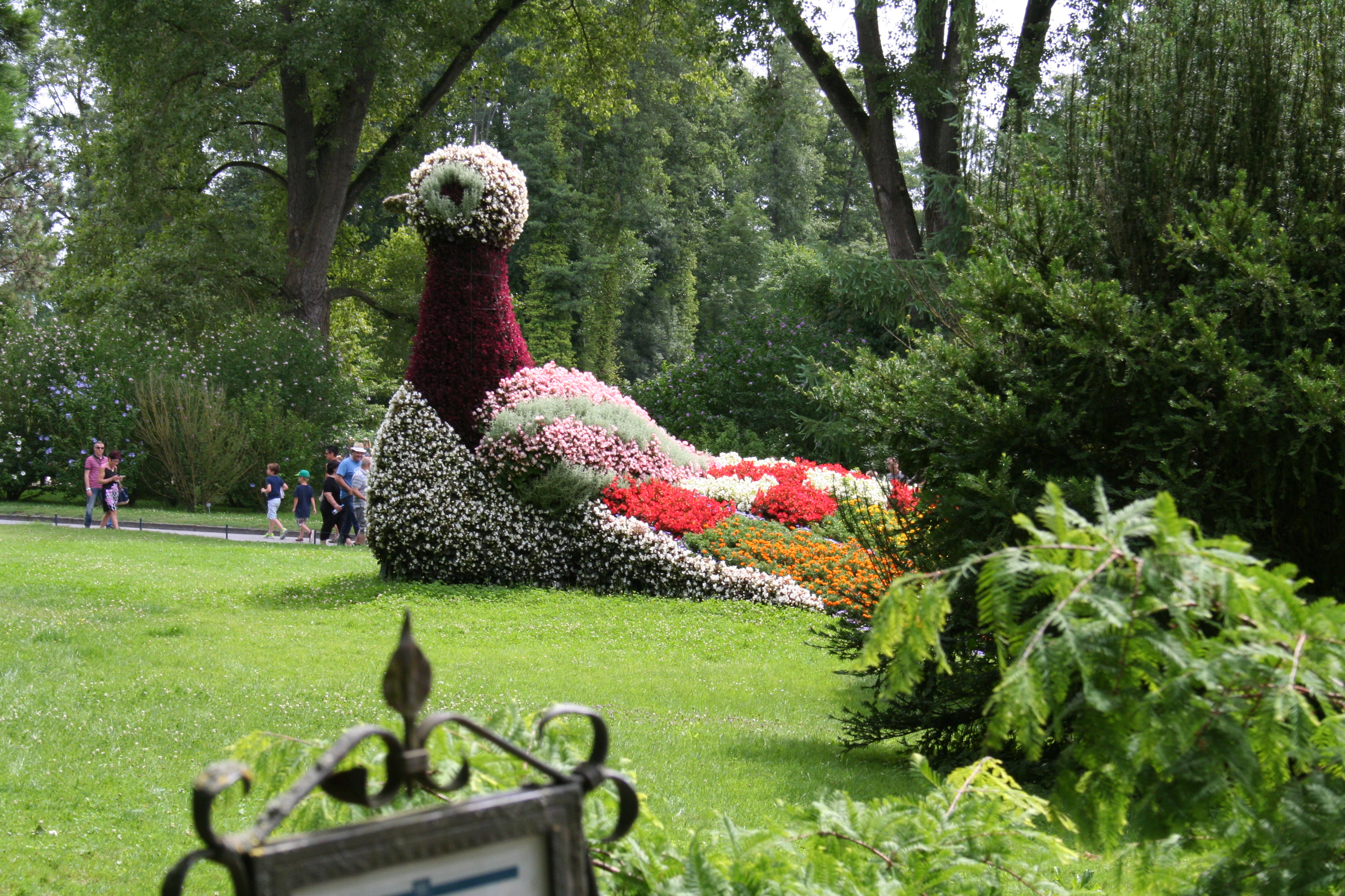 Bregenz, Mainau, Konstanz 458