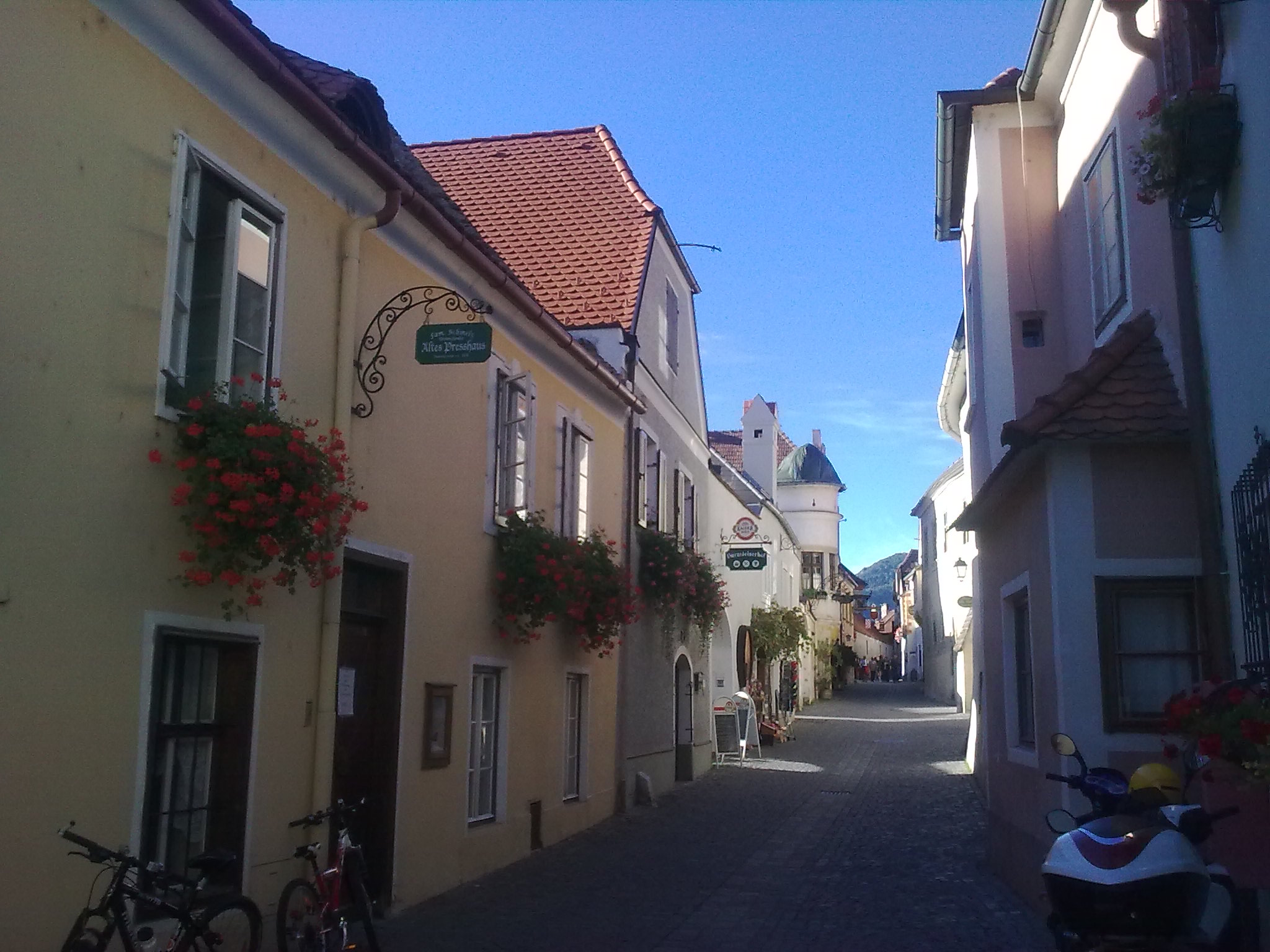 Wachau - Dürnstein 4