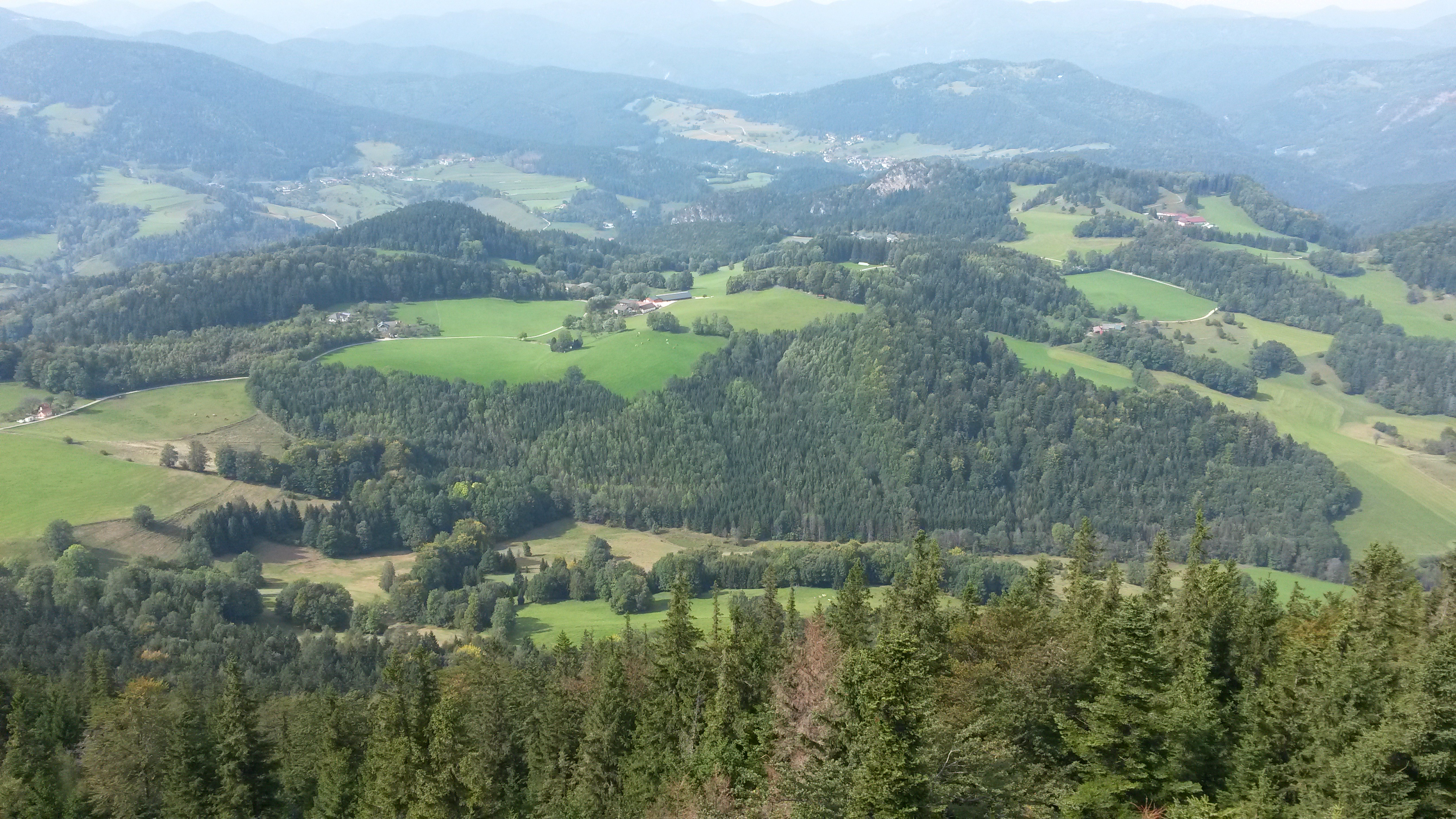 Hohe Wand 19